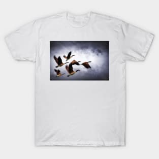 Into The Clouds T-Shirt